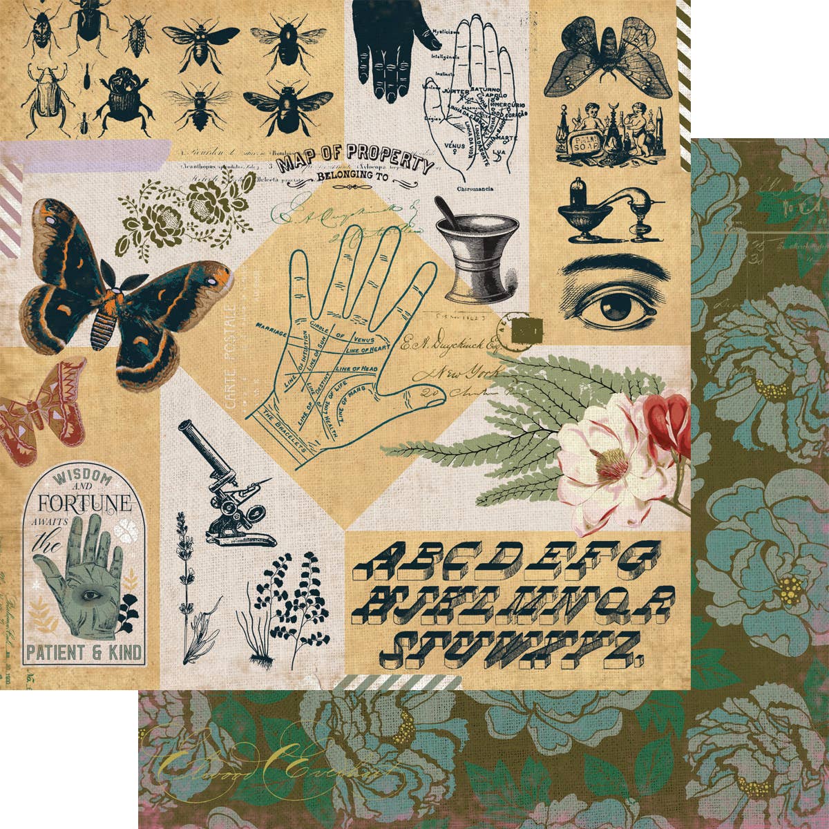Apothecary Paper - Fortune Teller