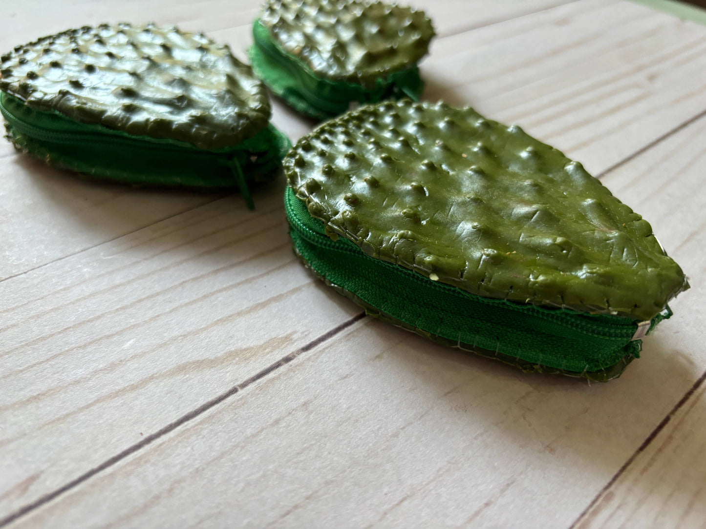 One Gag Gift Coin Purse Nopal Cactus