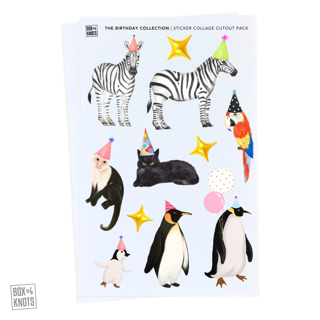 Box of Knots | The Birthday Collection