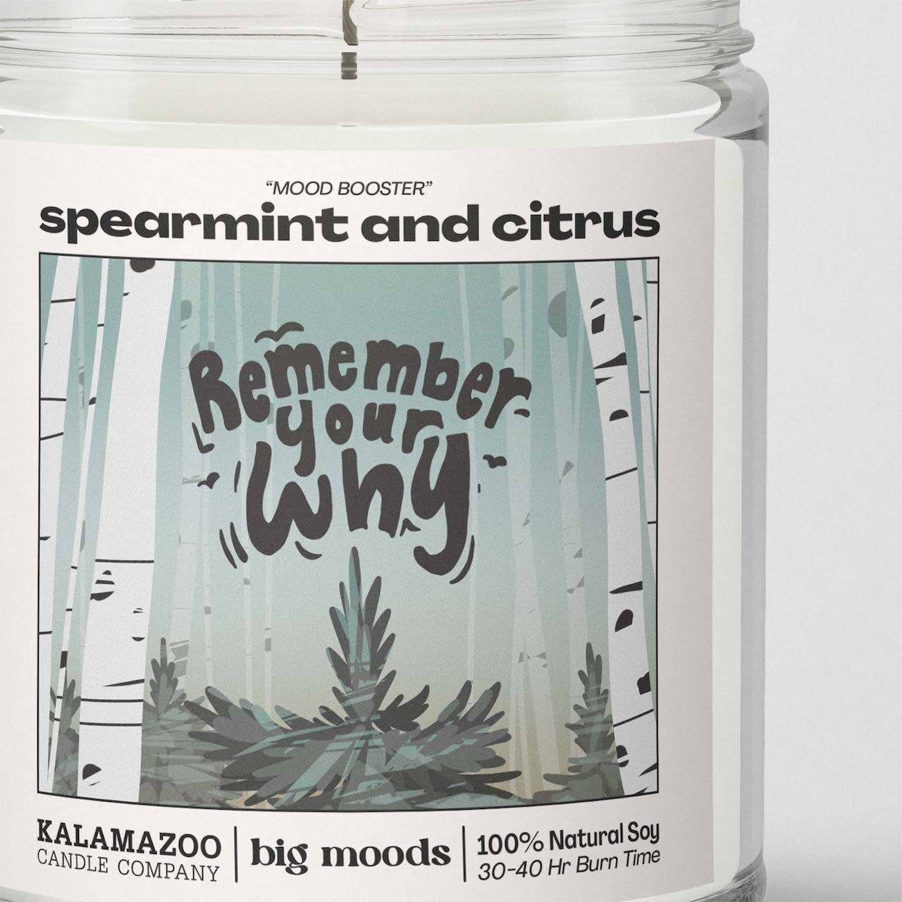 "Remember Your Why" Spearmint & Citrus - Luxury Soy Candle