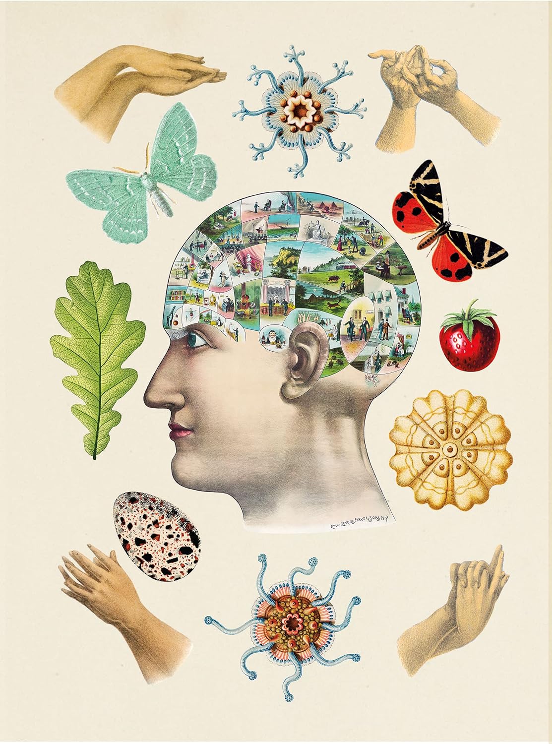 The Antiquarian Sticker Book
