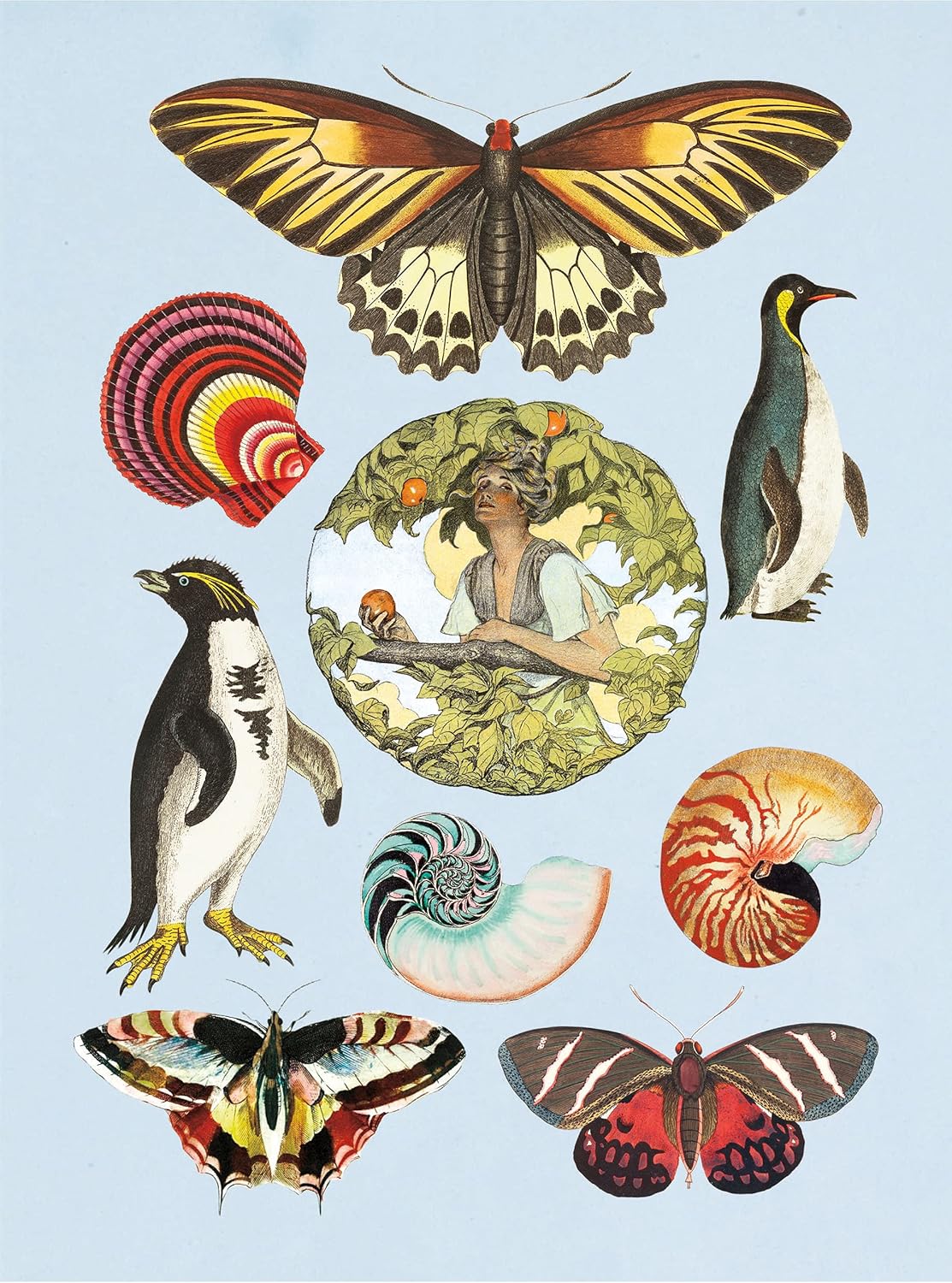 The Antiquarian Sticker Book