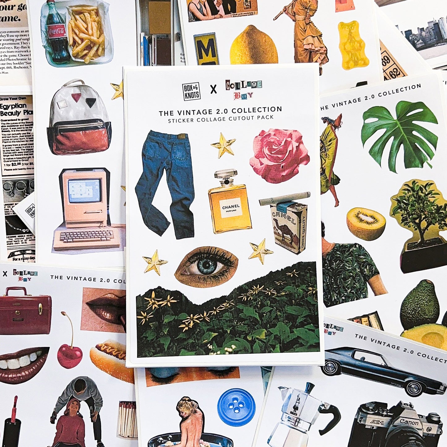 Box of Knots | Vintage 2.0 Collection