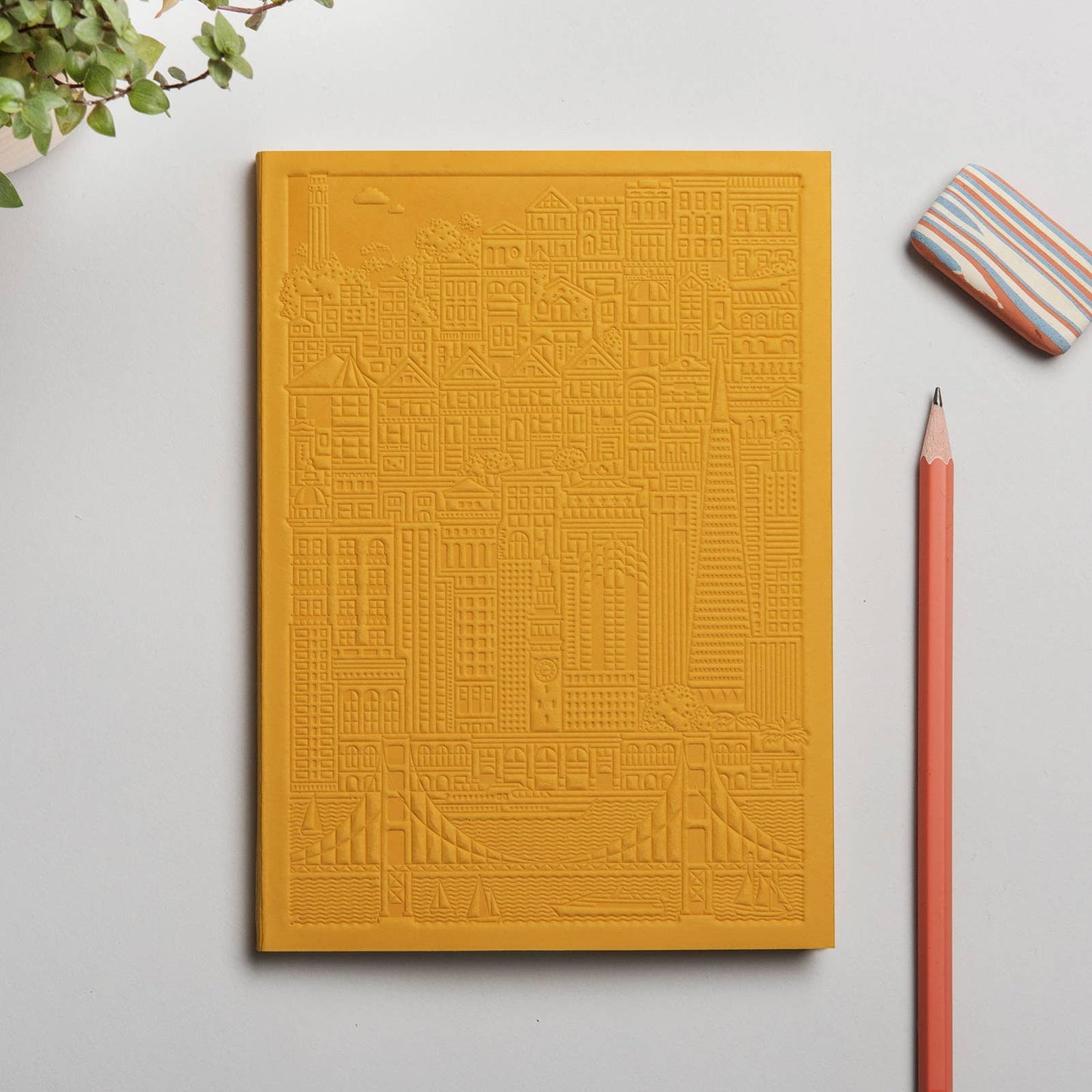 The San Francisco Notebook