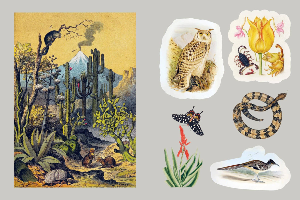 Mystical Earth Sticker Book