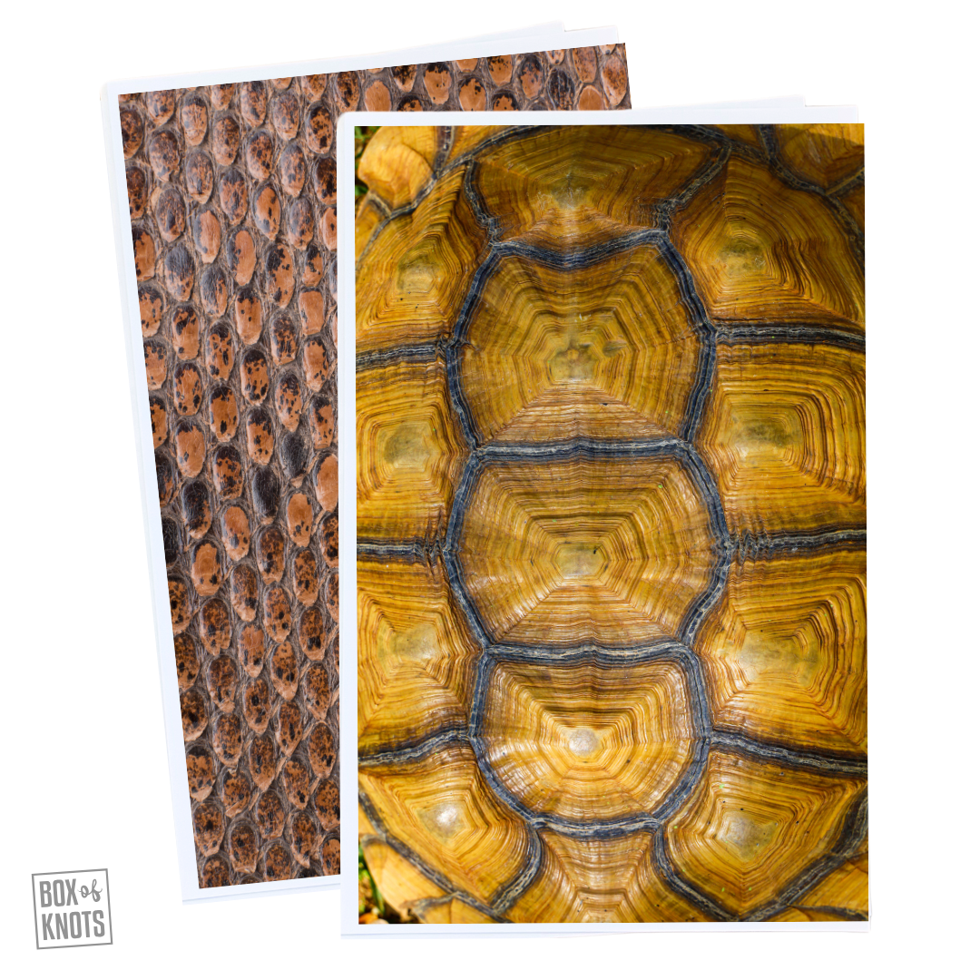 Box of Knots | Background Stickers: Animal Skins Series 007