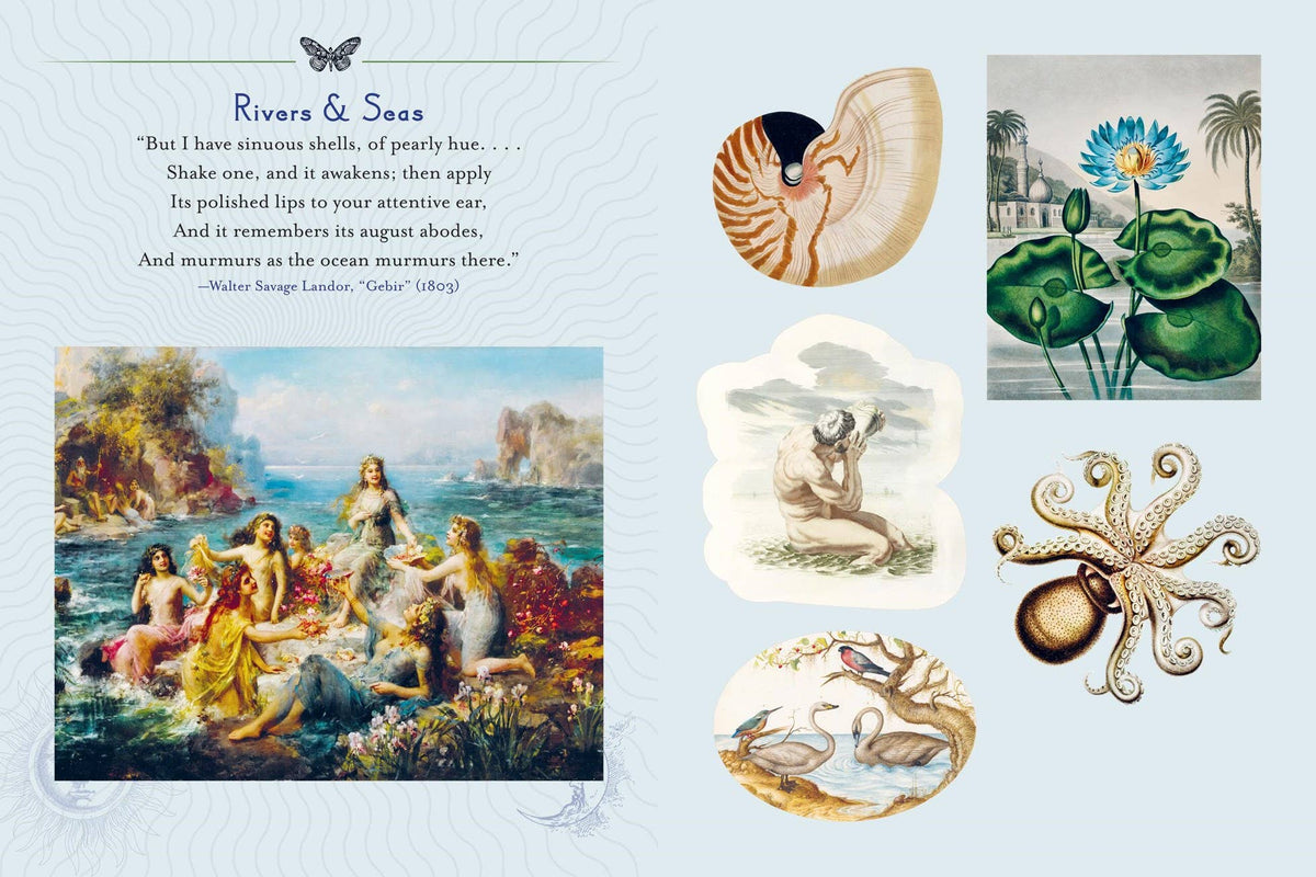 Mystical Earth Sticker Book
