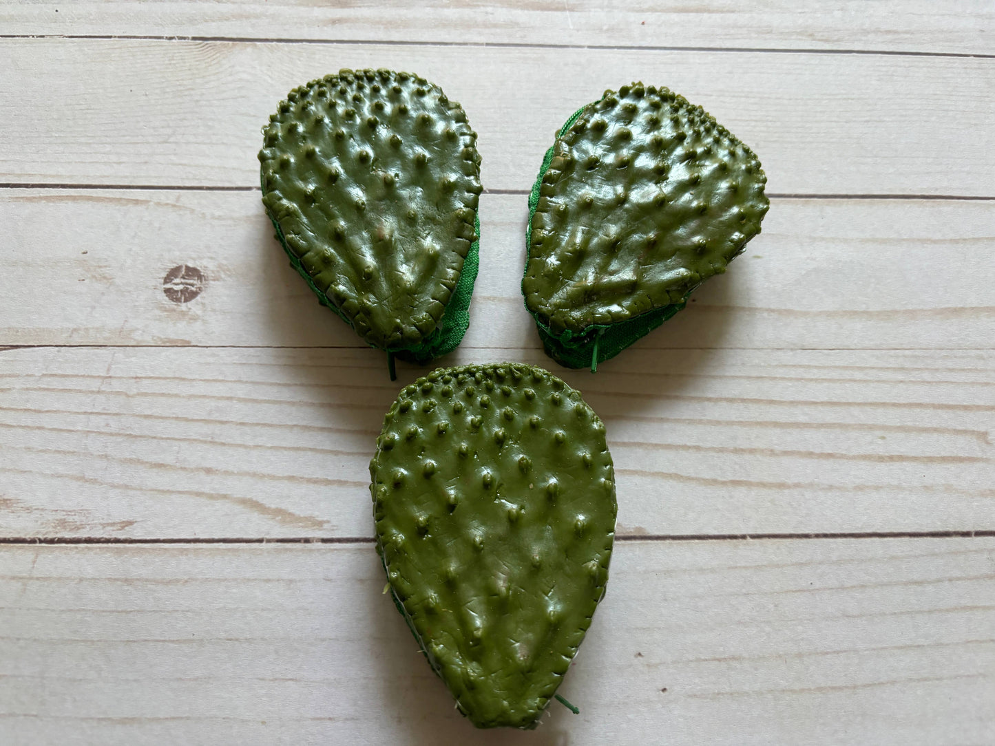 One Gag Gift Coin Purse Nopal  Cactus