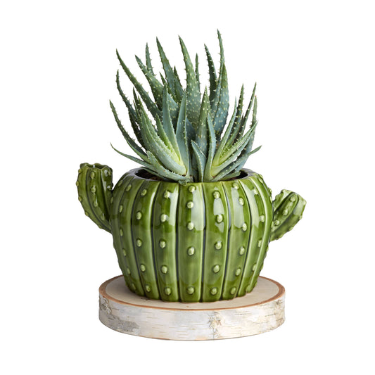 Cactus Flower Pot